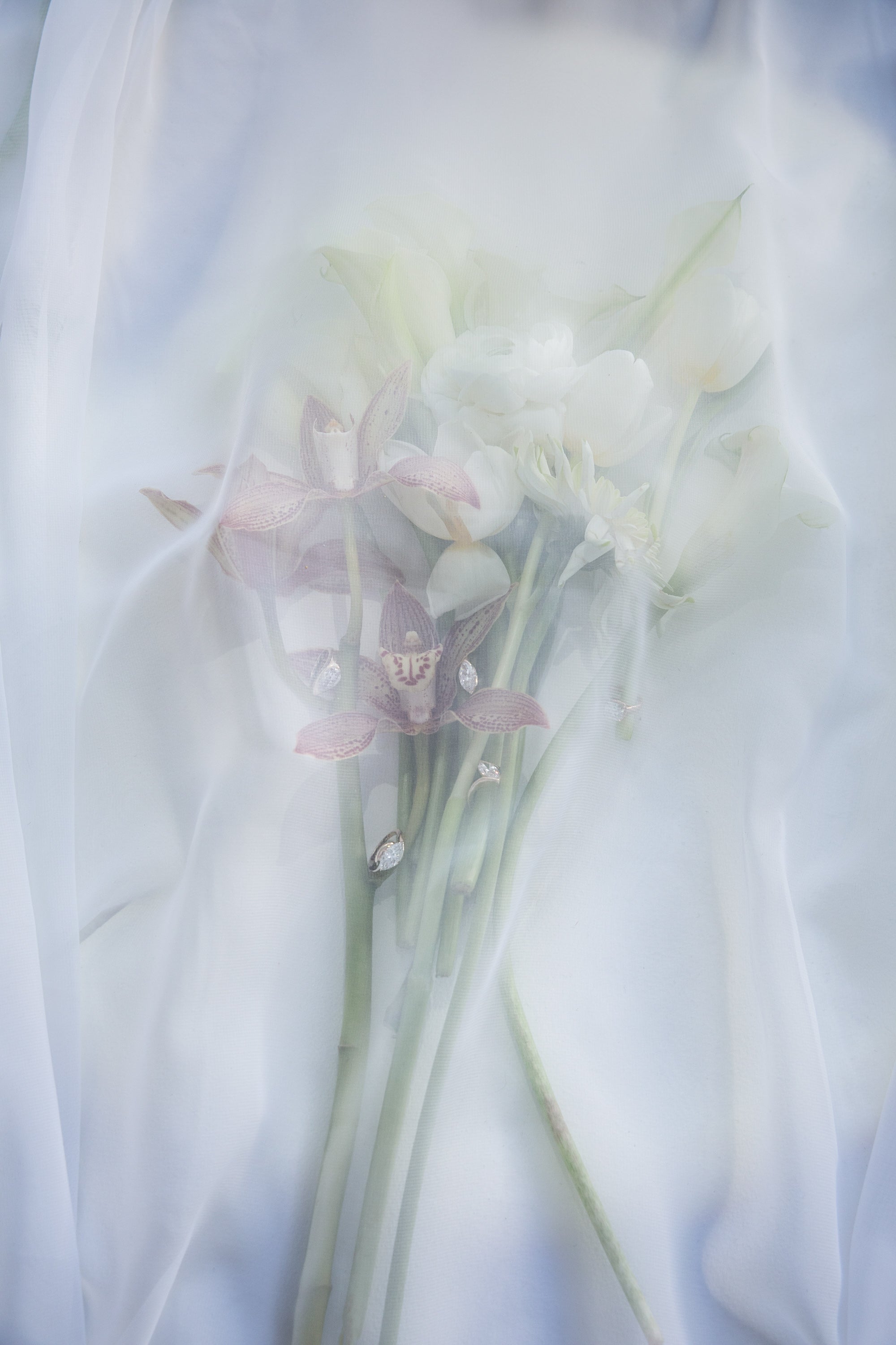 a still life image featuring a bouquet of flowers under a sheer white veil. previewing sophie ranter bridal launching March 18th.