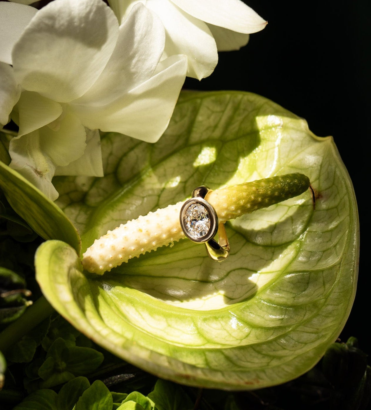 The SRJ x Zosia Mamet oval diamond and enamel ring hangs on a green orchid. Displaying our holiday gift guide, shop timeless fine jewelry for the holidays. Get a free diamond gift with orders $1,000+.