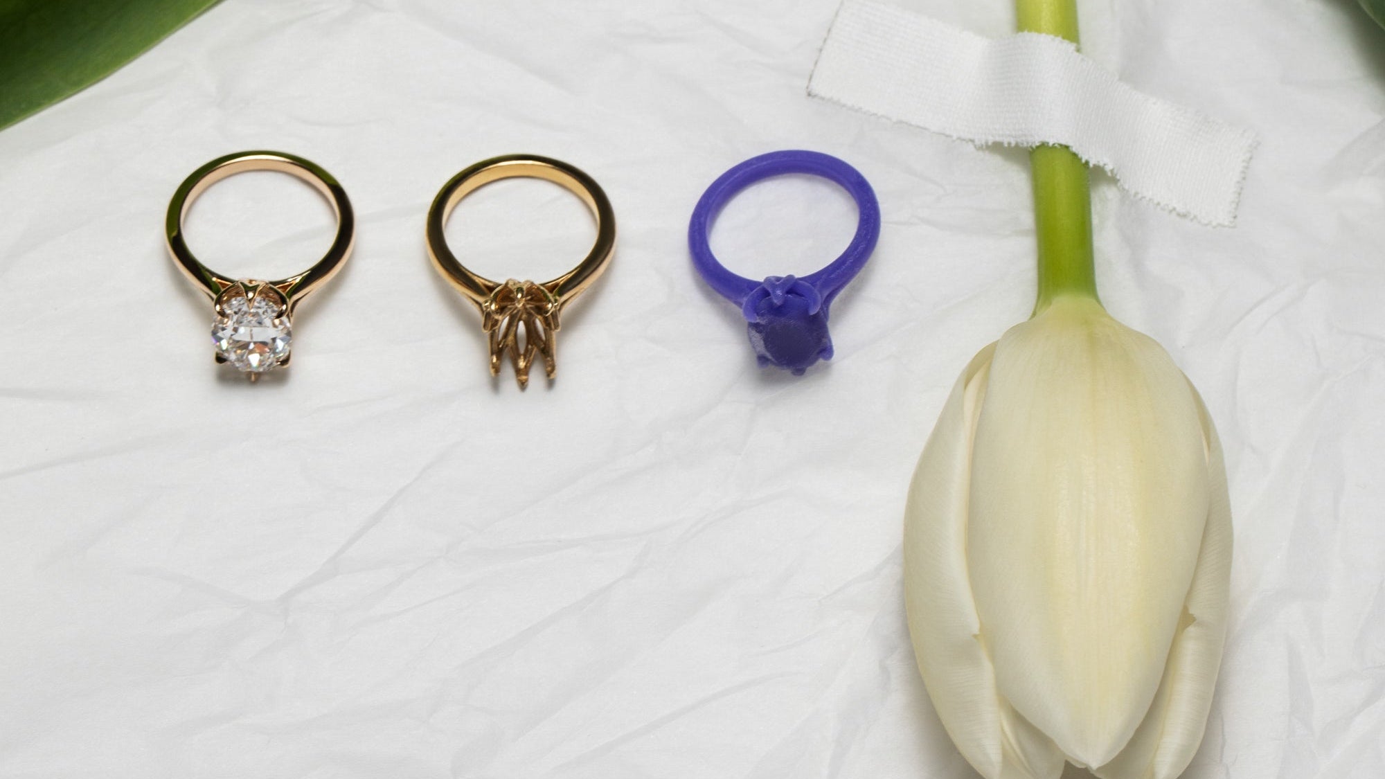 Three rings on a white surface with a white tulip.