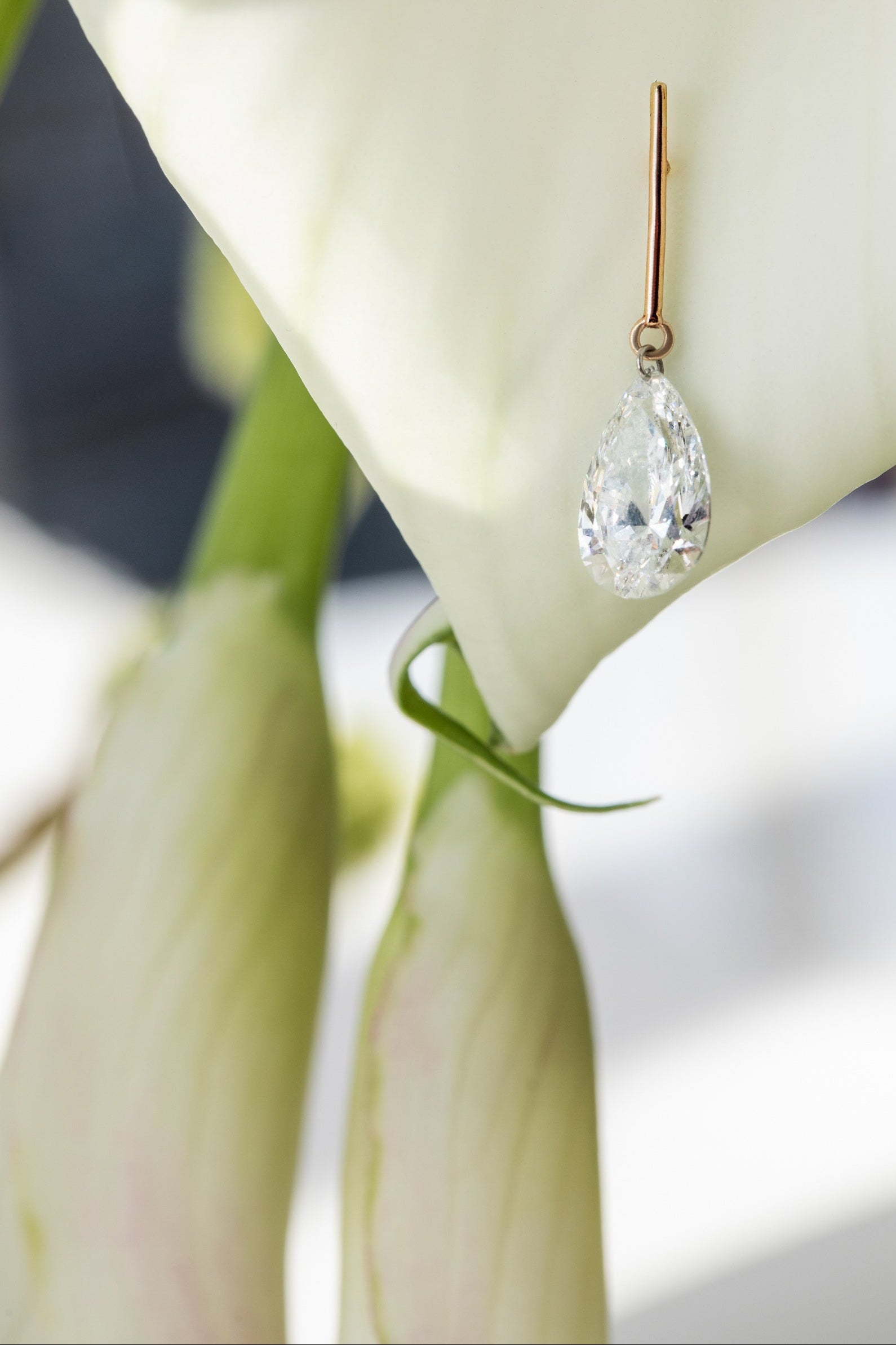 Teardrop-shaped earring hanging from a white flower