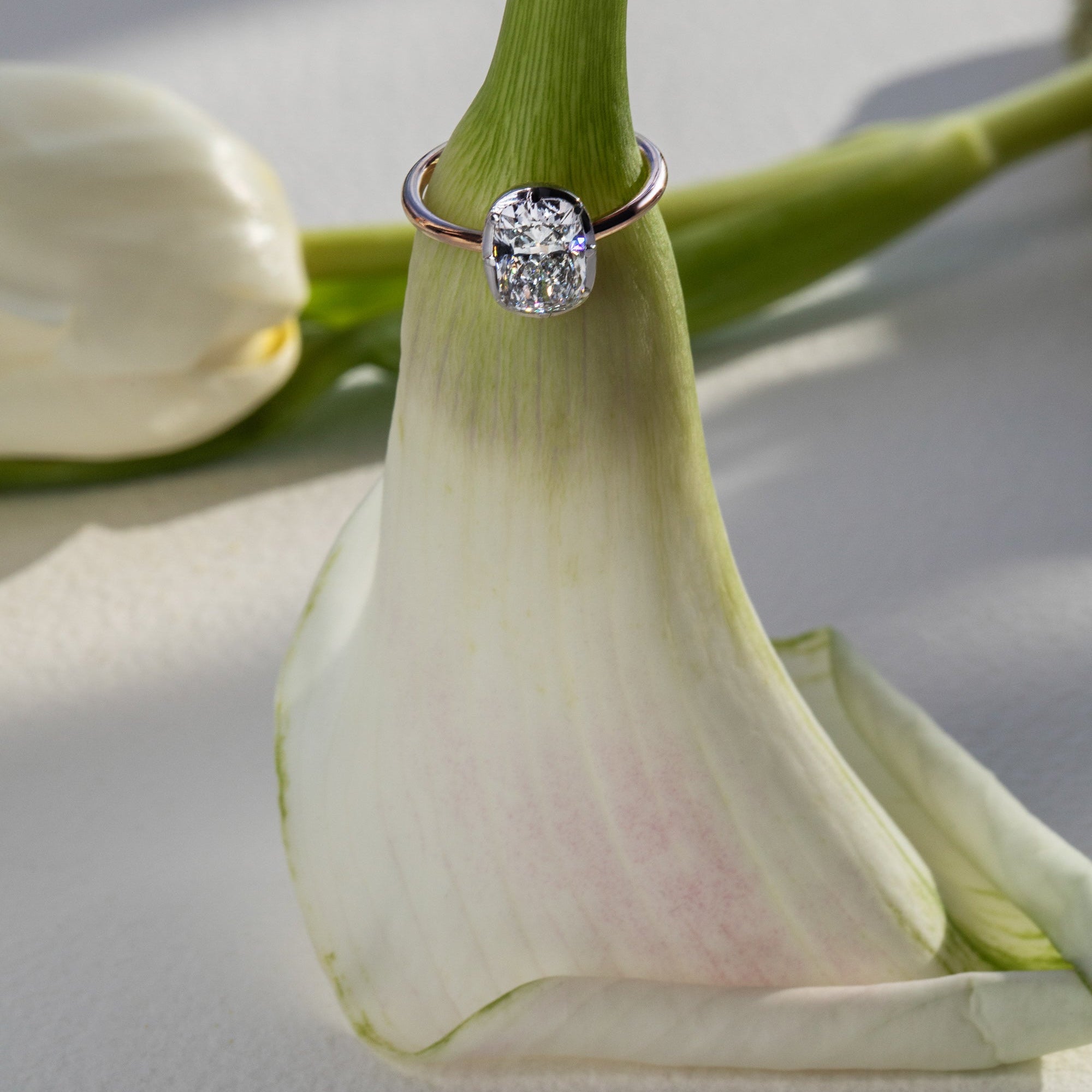 Diamond ring on a white flower petal. customize your engagement ring or wedding band effortlessly online. 